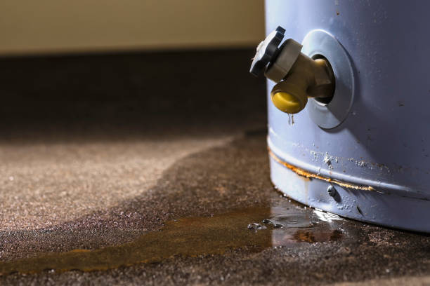 Best Flood damage cleanup  in Moores Mill, AL