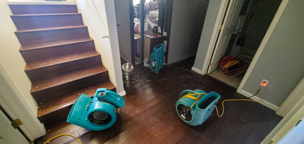 Best Local water damage restoration  in Moores Mill, AL