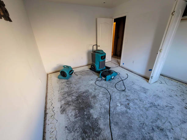 Best Water damage restoration process  in Moores Mill, AL