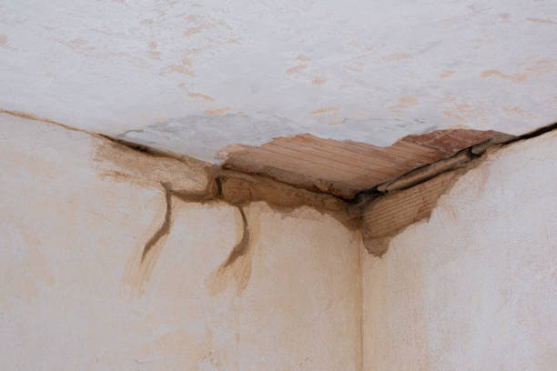 Best Water damage restoration services  in Moores Mill, AL