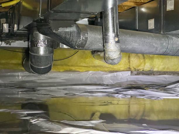 Best Water damage repair service  in Moores Mill, AL