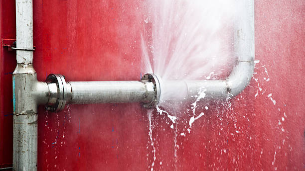 Best Water damage restoration specialists  in Moores Mill, AL